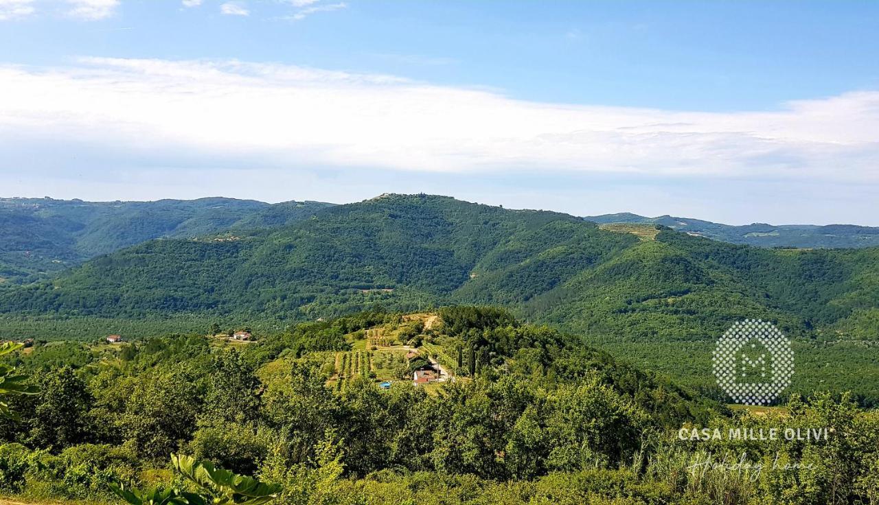 Casa Mille Olivi Villa Buzet Kültér fotó