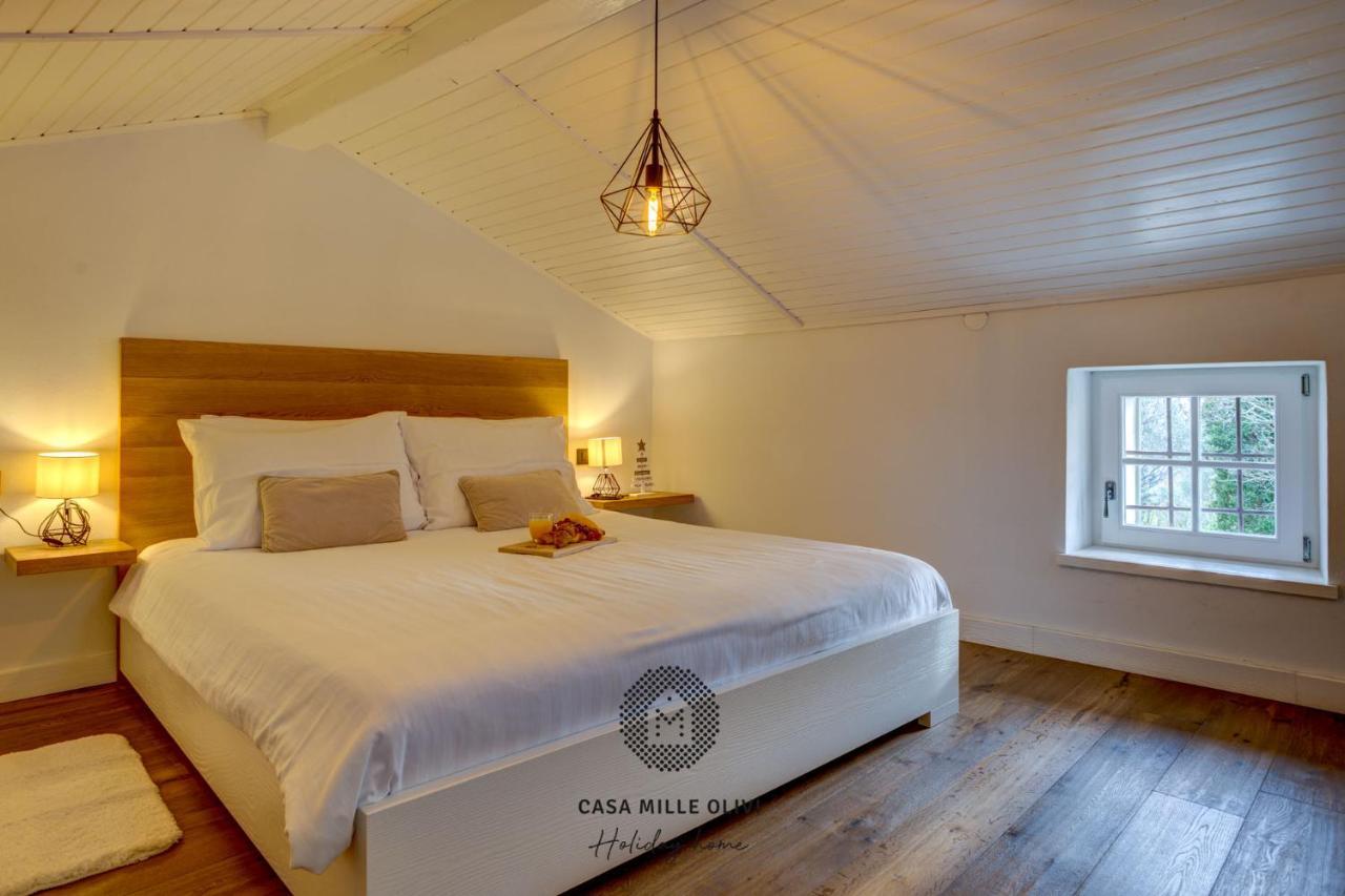Casa Mille Olivi Villa Buzet Kültér fotó