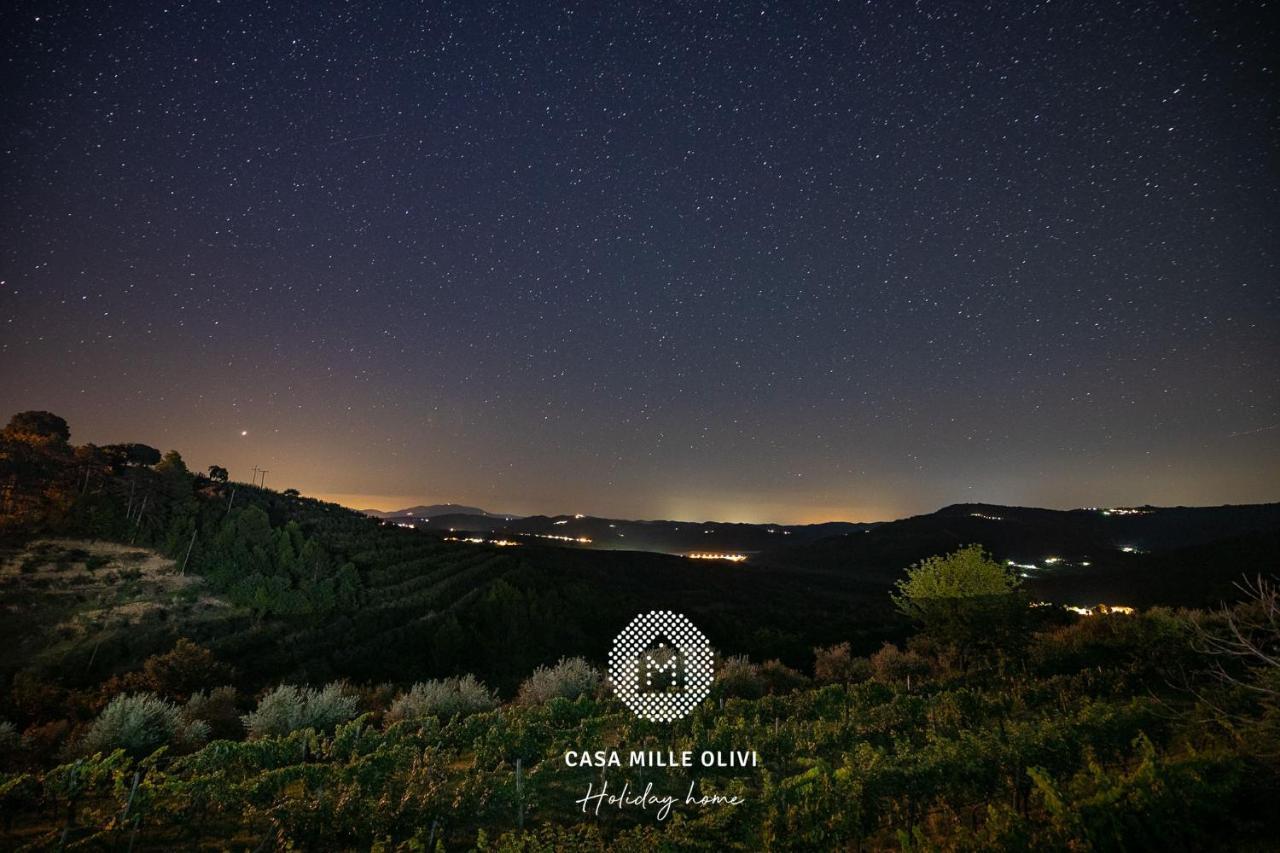 Casa Mille Olivi Villa Buzet Kültér fotó