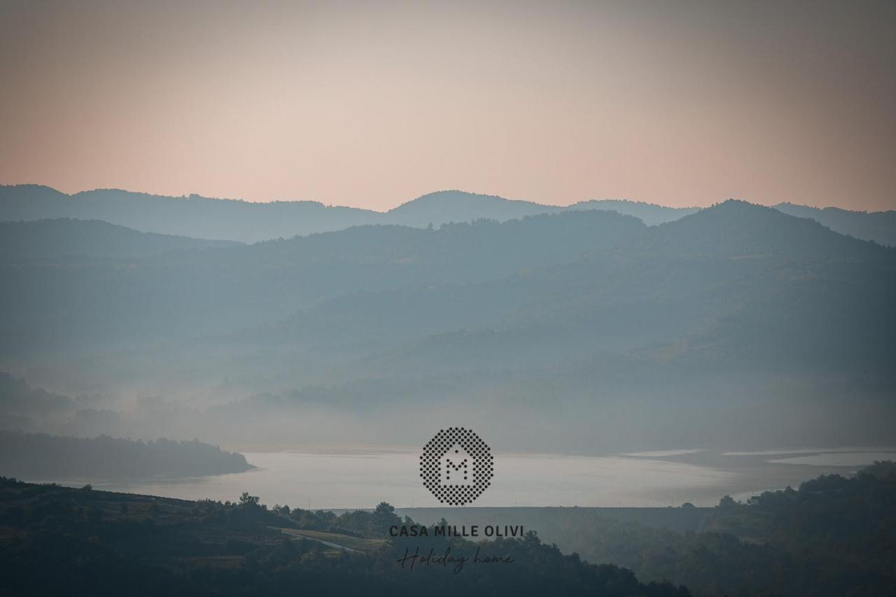 Casa Mille Olivi Villa Buzet Kültér fotó