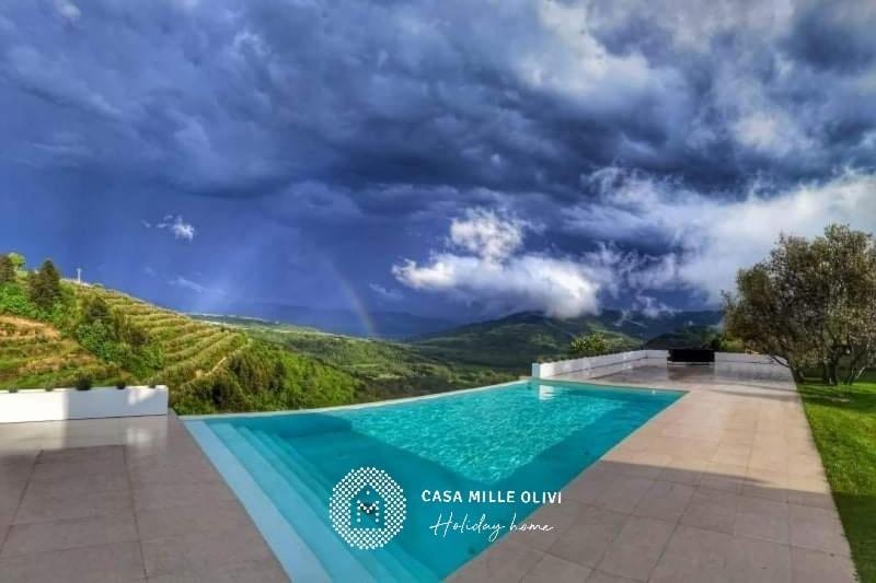 Casa Mille Olivi Villa Buzet Kültér fotó