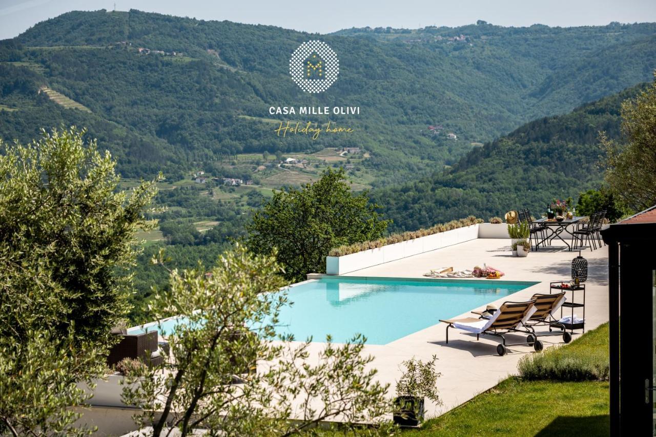 Casa Mille Olivi Villa Buzet Kültér fotó