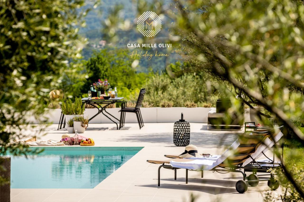 Casa Mille Olivi Villa Buzet Kültér fotó