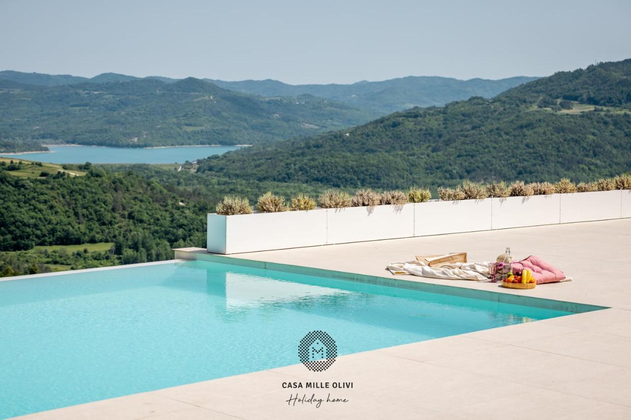Casa Mille Olivi Villa Buzet Kültér fotó