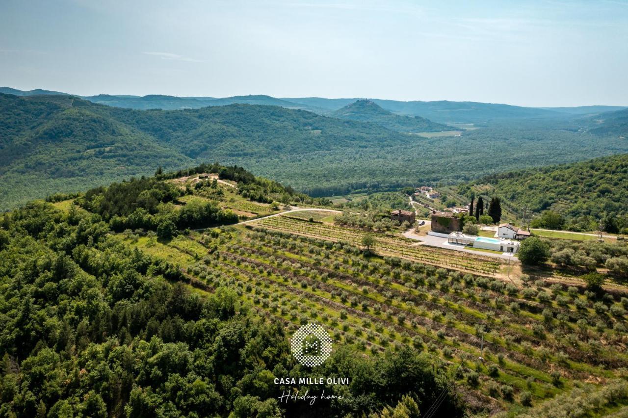 Casa Mille Olivi Villa Buzet Kültér fotó