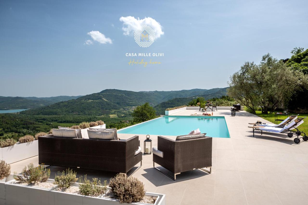 Casa Mille Olivi Villa Buzet Kültér fotó