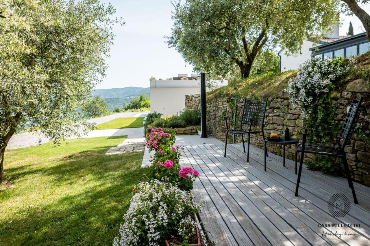 Casa Mille Olivi Villa Buzet Kültér fotó