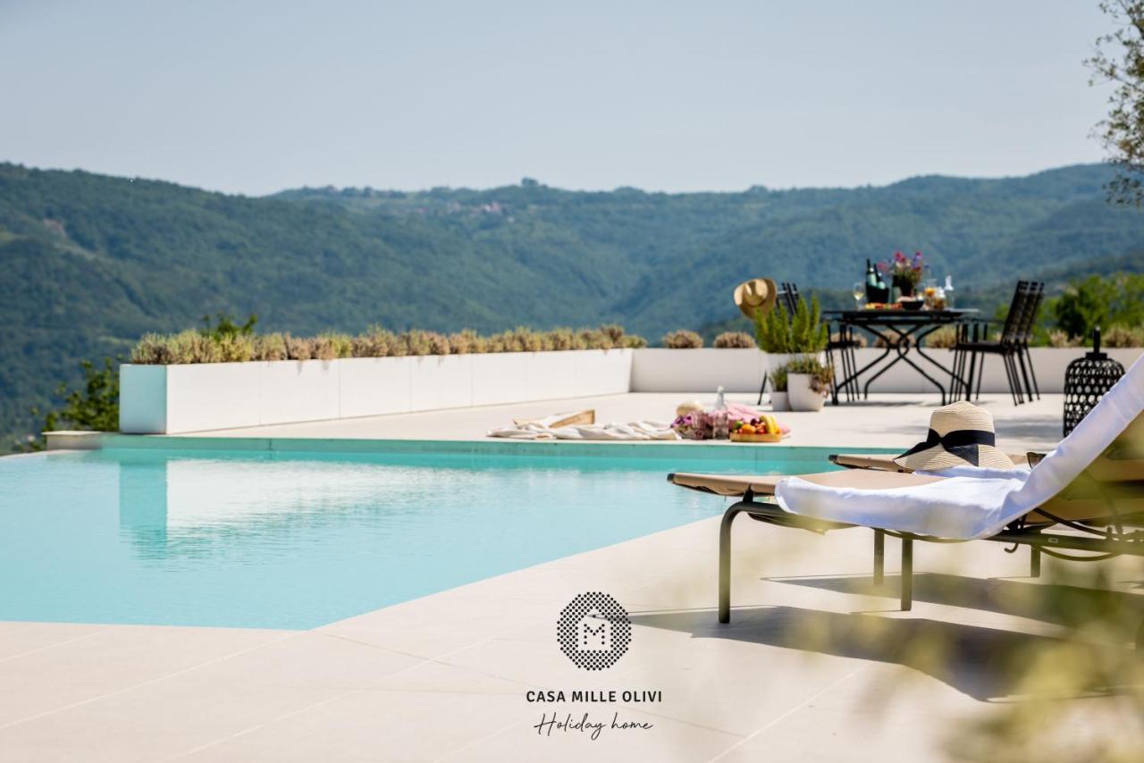 Casa Mille Olivi Villa Buzet Kültér fotó