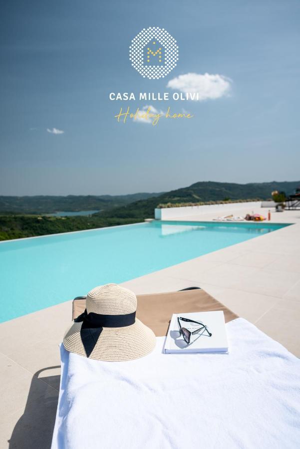 Casa Mille Olivi Villa Buzet Kültér fotó