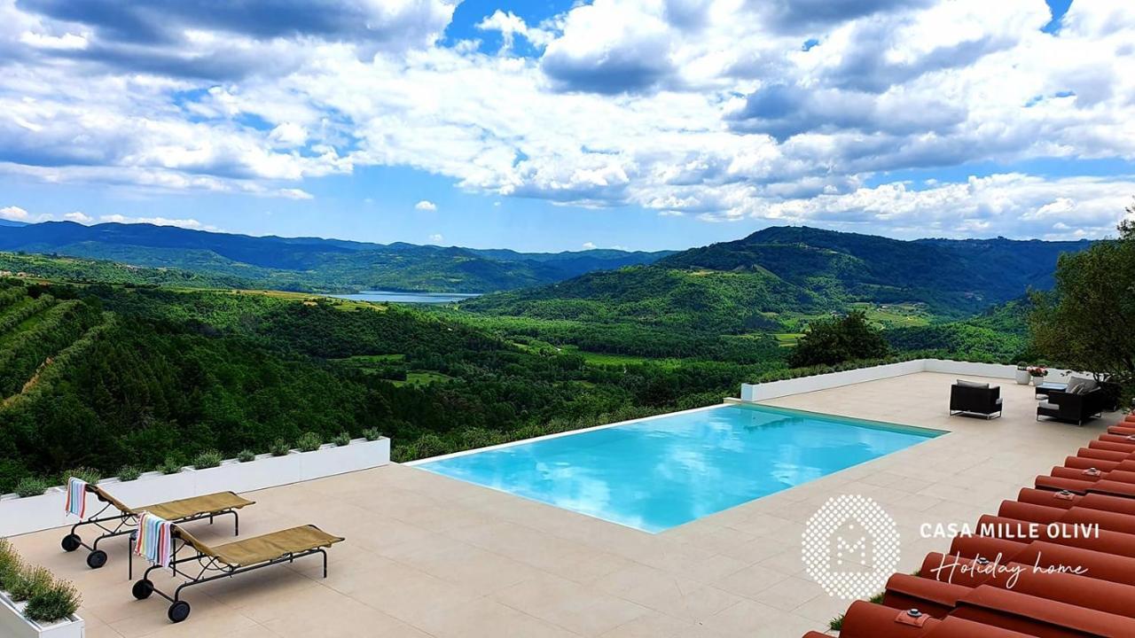 Casa Mille Olivi Villa Buzet Kültér fotó